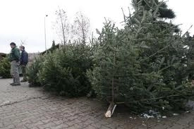 razii-printre-vanzatorii-de-brazi