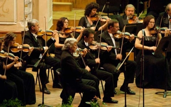 regal-vienez-la-brasov