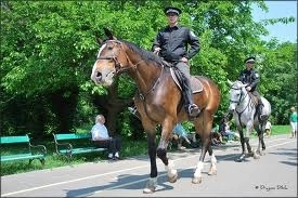 se-infiinteaza-patrula-calare