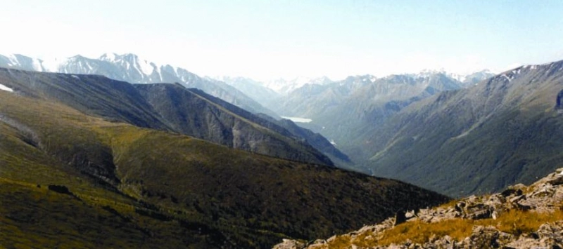 secretul-siberian-al-sanatatii-si-longevitatii