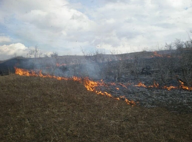 sezonul-incendiilor-de-vegetatie