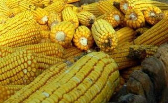 subventii-pentru-agricultura-ecologica