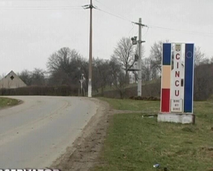 targ-de-toamna-la-cincu