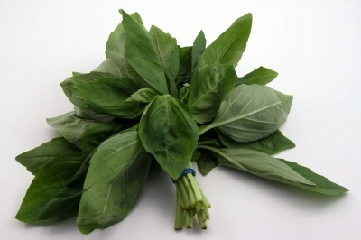 tu-stii-cum-sa-pui-la-pastrare-plantele-aromatice