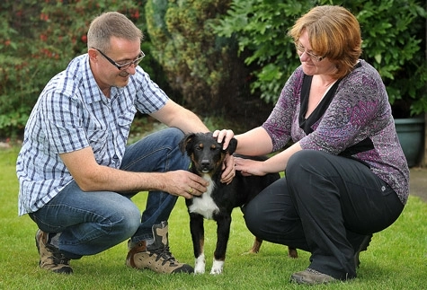 un-caine-din-zarnesti-a-ajuns-vedeta-in-marea-britanie