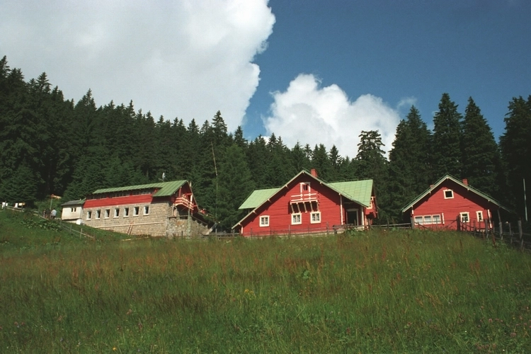 un-copil-a-murit-la-cabana-piatra-arsa