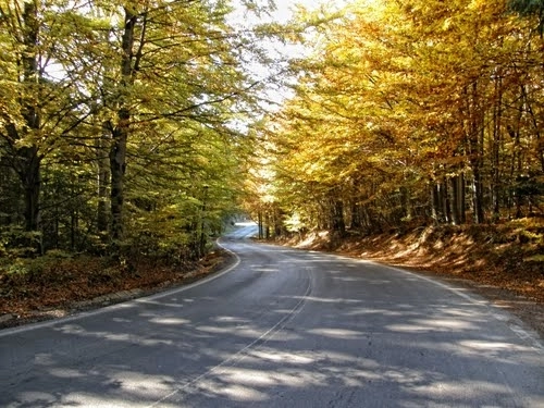 urci-in-poiana-cobori-in-rasnov