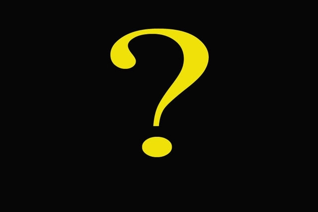 vezi-cum-arata-cel-mai-inalt-caine-din-lume