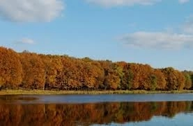 vreme-calda-pana-la-sfarsitul-saptamnii