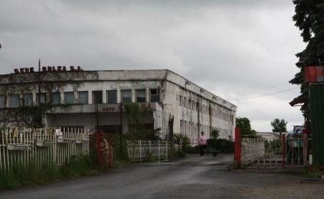 a-fost-condamnata-la-12-ani-inchisoare