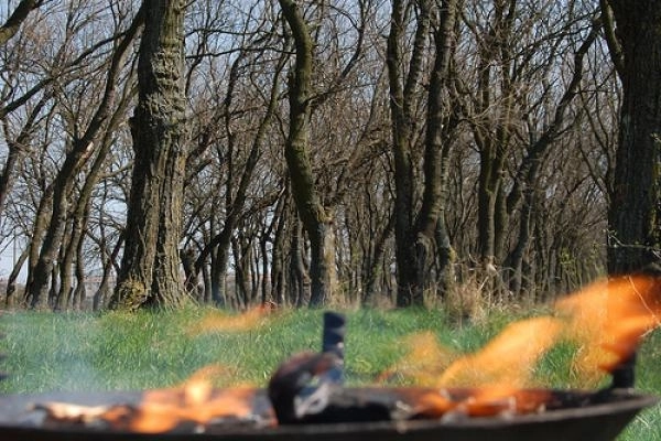 amenzi-pentru-cei-care-distrug-ariile-protejate