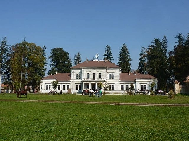 ani-la-budila