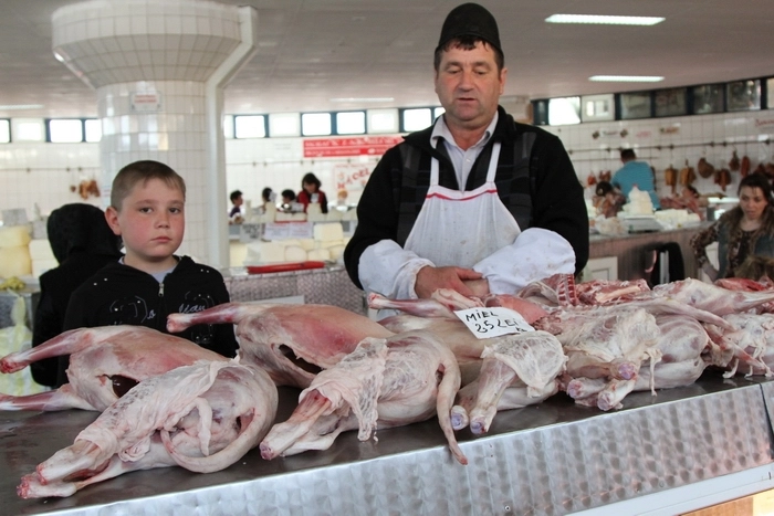 atentie-mieii-sub-10-kg-periculosi-pentru-sanatate