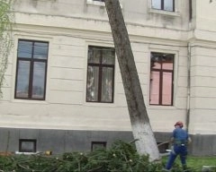 au-chemat-aplpinistii-sa-taie-brazii