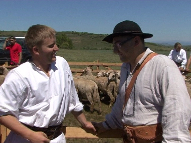 au-pornit-cu-oile-prin-europa