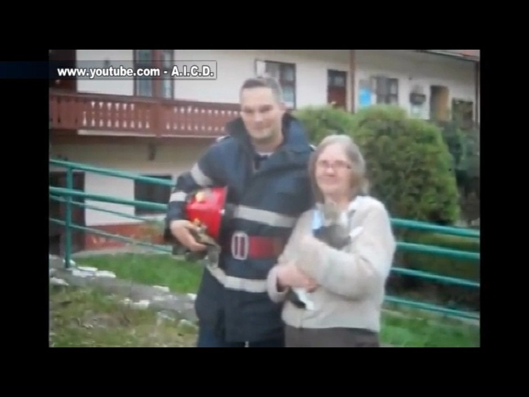 au-salvat-o-pisica-video