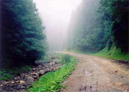 bani-europeni-pentru-drumurile-forestiere-din-bran