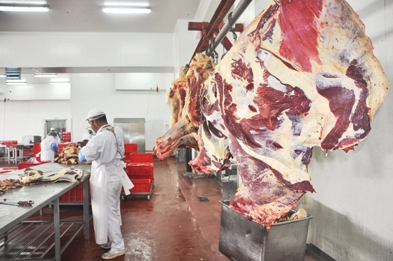 brasovenii-pot-sa-taie-carne-in-irlanda