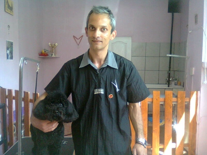 cainele-tau-coafat-ca-la-hollywood