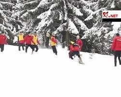 cainii-rosii-au-ajuns-in-poiana