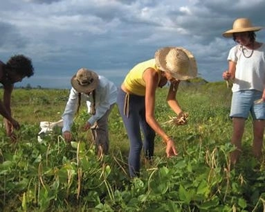 caravana-agricola-la-brasov