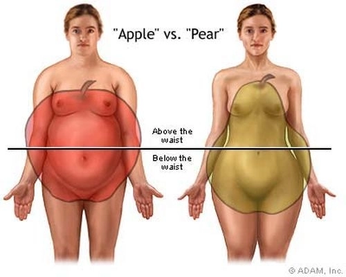 care-este-durata-vietii-tale-in-functie-de-forma-corpului