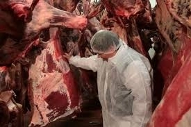 carnea-de-vita-transata-nu-se-mai-exporta