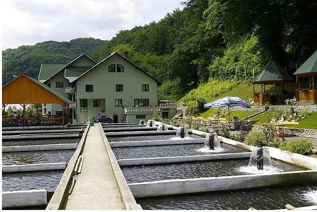 cinci-pastravari-din-fagaras-finantari-europene-de-500-de-mii-de-euro