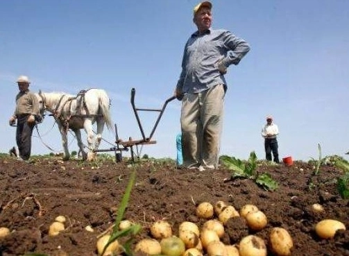 cine-vrea-pamant-trebuie-sa-stie-sa-il-cultive