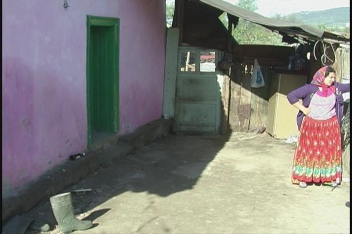 ciocanul-a-bagato-in-arest