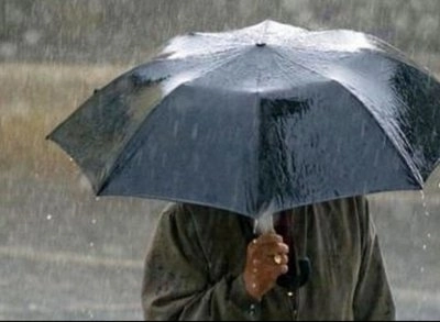 cod-galben-de-ploi-abundente