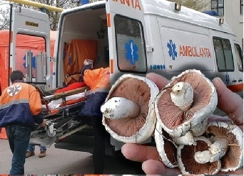 copil-intoxicat-cu-ciuperci
