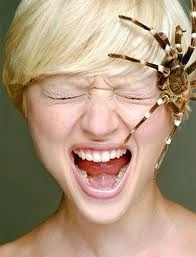 cum-scapi-de-frica-de-paianjeni-cu-un-simplu-telefon-in-mana