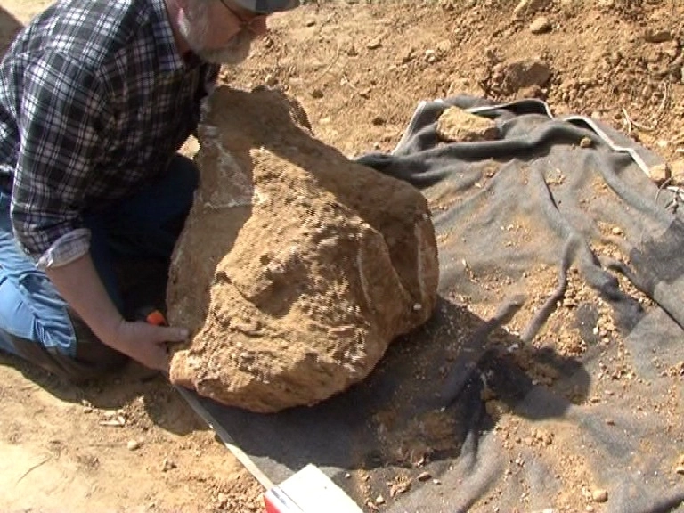 descoperire-colosala-in-judetul-covasna