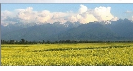 dezvoltarea-turismului-in-municipiul-fagaras