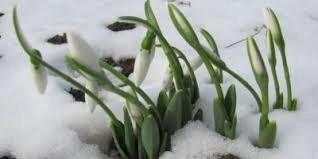 din-15-martie-vremea-se-va-raci-accentuat