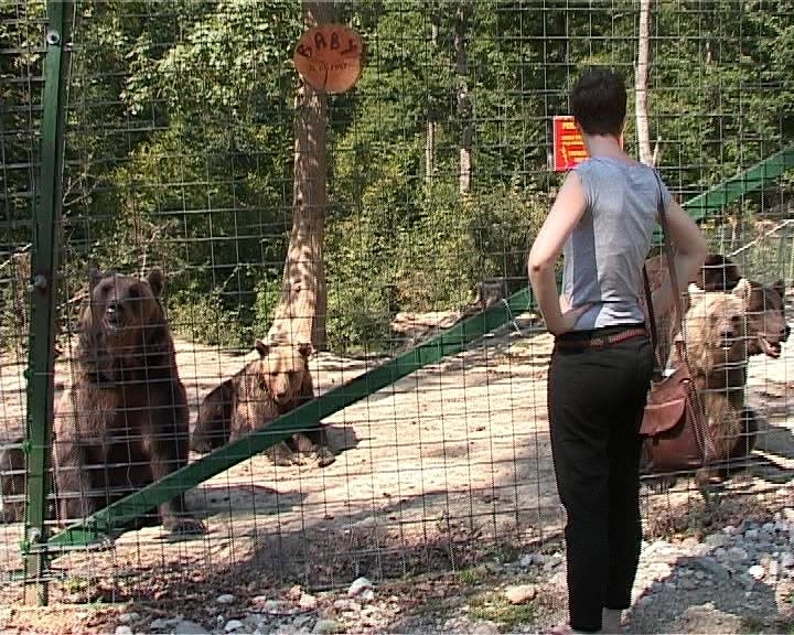 excursii-gratuite-pentru-elevii-brasoveni-la-sanctuarul-de-ursi