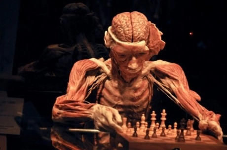 expozitia-the-human-body-se-prelungeste-