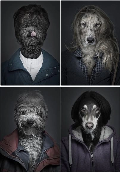 expozitie-de-portrete-de-caini-cu-infatisare-umana