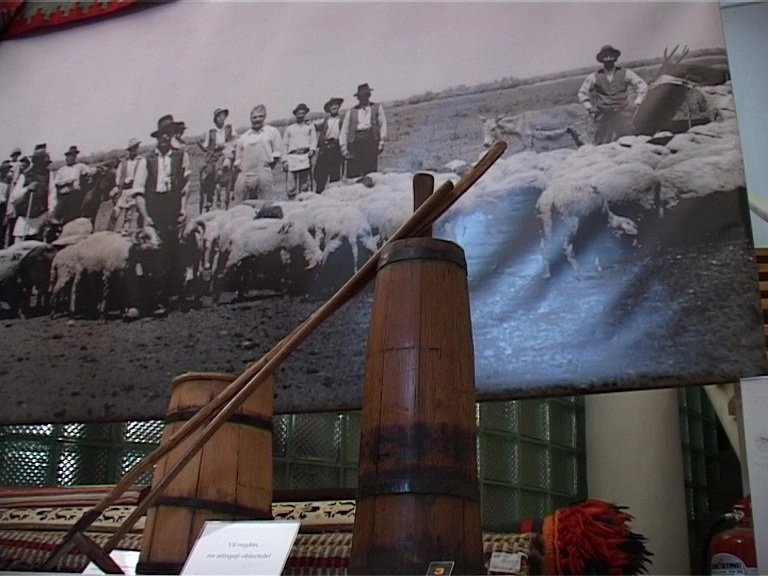 expozitie-despre-mocanii-saceleni