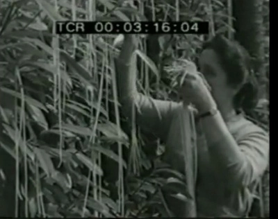 farse-celebre-de-1-aprilie