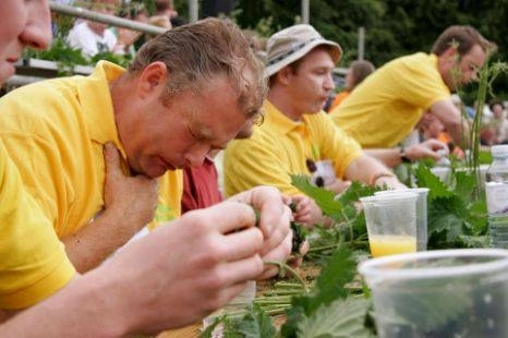 faza-zilei-campionatul-mondial-de-mancat-urzici-crude-video-