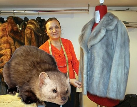 ferma-de-nurci-la-sercaia