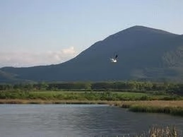 fonduri-europene-pentru-ariile-protejate-din-judet