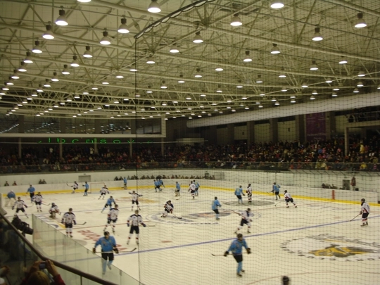 forte-de-ordine-crescute-la-meciul-de-hochei-pe-gheata-romaniafinlanda