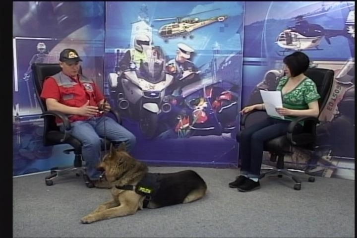 inedit-talk-show-cu-un-caine-lup