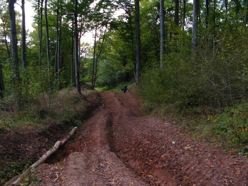 investitii-in-drumurile-forestiere-din-bran