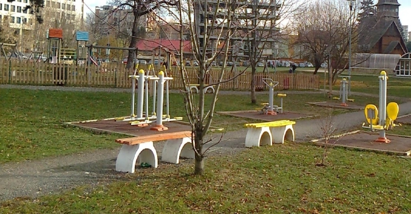 la-8-ani-sia-petrecut-noaptea-in-parc