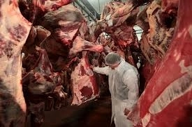 la-brasov-sunt-doua-abatoare-autorizate-sa-sacrifice-cai