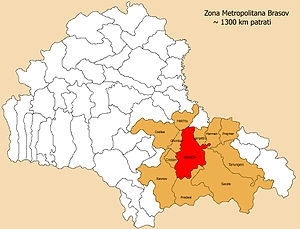 linie-de-transport-in-zona-metropolitana